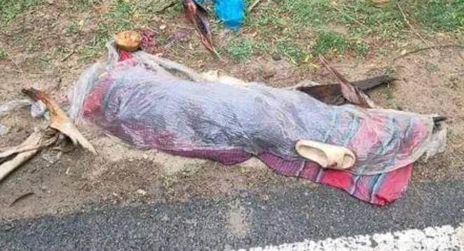 তানোরে ট্রাকের চাকায় পিষ্ট হয়ে ১শিশুর মৃত্য