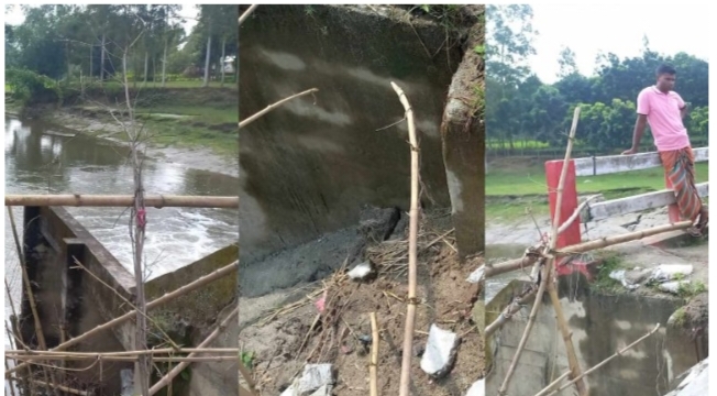রাতভর ২ ওঝার ঝাড়ফুঁকে নামেনি বিষ, সাপের কামড়ে একজনের মৃত্যু