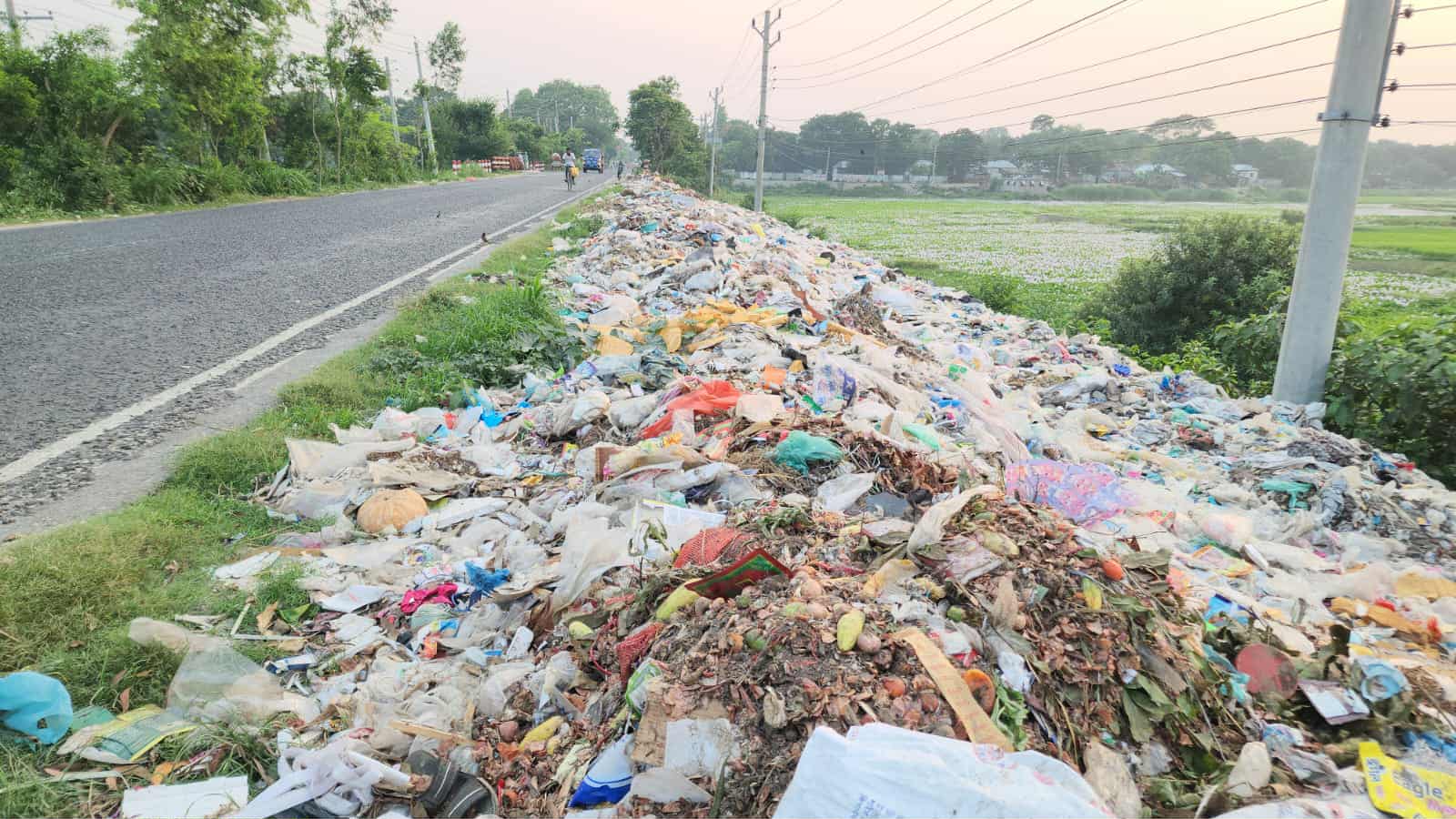 রাজবাড়ীর ঢাকা-খুলনা মহাসড়কে দীর্ঘদিন ময়লার ভাগাড়,দুর্গন্ধে অতিষ্ঠ নাগরিক